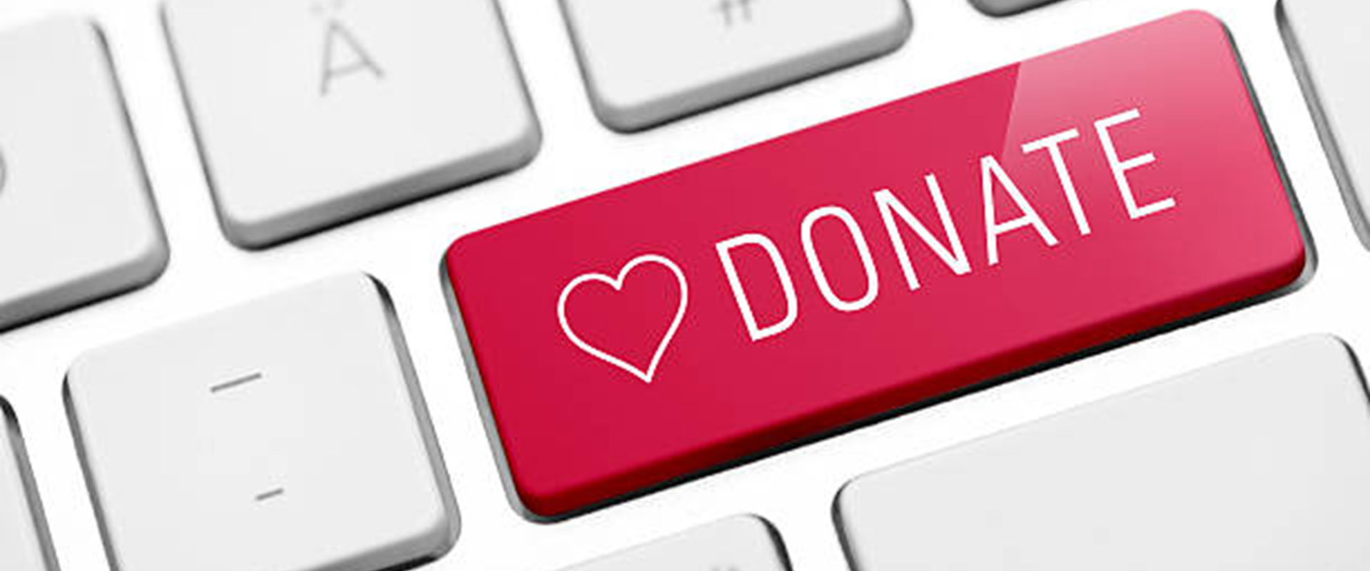 L'ECONOMIA DEL DONO - Pratiche e strategie di fundraising per le cooperative sociali